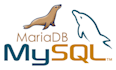 design databases, create er diagrams, and write sql queries