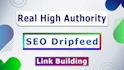 monthly off page SEO backlinks high authority link building