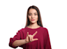 interpret any thing into asl and bsl