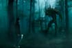do photoshop manipulation for you
