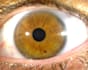 do your iridology reading