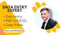 do excel data entry, i am spanish native speaker