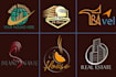 do professional logo design for your brand within 4 hours
