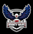 design a professional modern eagle logo