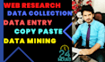 do web research, data collection and excel data entry