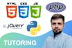 tutor you in programming and its best practices