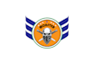 design a skeleton and military logo for your valuable brand