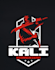 do make an modern custom ninja logo