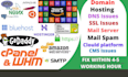 fix  apache, dns, smtp, cpanel ,mail, linux issues