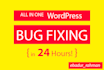 fix any wordpress bug in 24 hours