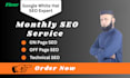 be your professional monthly seo specialist
