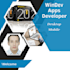 develop your custom desktop or mobile app using windev