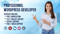 develop business website in wordpress