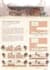 do architectural graphics poster presentation board design