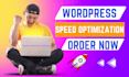 speed up wordpress website for google pagespeed insights and gtmetrix