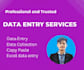 do data entry,data management and data collection