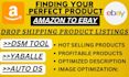 the drop shipping from amazon to ebay