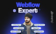 develop or convert your landing page, websites in webflow