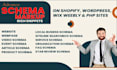 setup rich snippet, schema markup, and local business on your all website