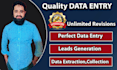 excel data cleaning and sorting in 24 hours at lowest price