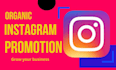 grow your instagram account with real and organic followers