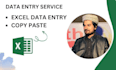 excel data entry, copy paste, typing, data entry, excel