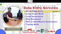 do any web scraping, yellow pages scraping, excel data entry