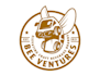 design a professional modern bee logo