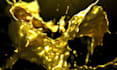 create golden liquid splash intro animation video