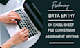 put data in excel sheets