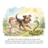 create childrens story book and watercolor illustrations