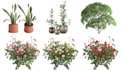 create 3d plants in speedtree