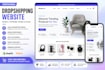 develop a drop shipping website