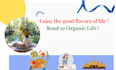 make village cooking video recipes with proper presentation