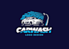 make auto dealership, car logo, car detailing, auto repair