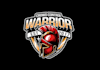 design unique sports, mascot, gaming logo