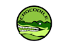 design high quality crocodile logo in high definition