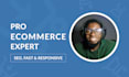 develop an ecommerce website using woocommerce