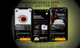 develop a professional ecommerce mobile app or online store
