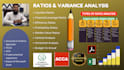 do ratio, variance, sensitivity and financial analysis