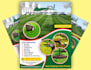 lawn care, roofing, washing, cleaning, postcard, eddm, flyer