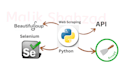 get data from websites, web scraping using python