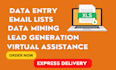 do data entry, excel data entry, copy paste, web research and email lists
