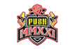 embroidery digitizing, convert to dst, pes vp3 in 1hr