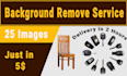 do cut out and background removal from image professionally