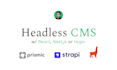 build headless cms sites with prismic strapi tina wordpress