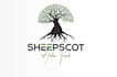 design health, wellness, medical, yoga, supplement logo