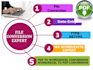 do file conversion in PDF data entry type retype copy paste