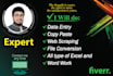 be your perfect data entry expert and web search