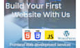 provide you frontend website development services, HTML CSS javascript